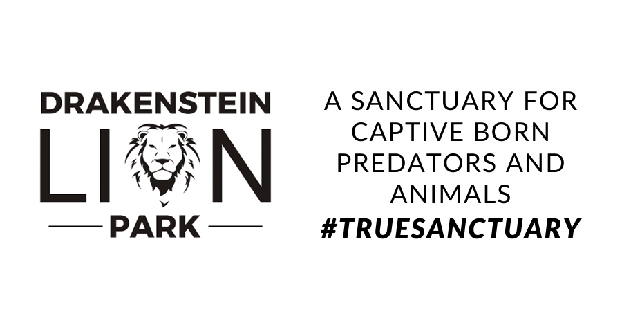 Drakenstein - A-sanctuary-for-captive-born-predators-and-animals