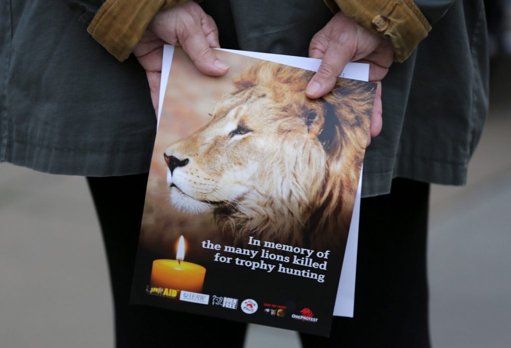 Remembering Cecil the Lion